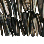 Dentalium Tusk Shell Beads / 36 x 7mm