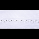 Tikandiga pits, 22 cm