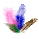 Feathers, 5 gms, 3-7 cm, Trimits TD00