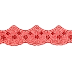 Embroidered Lace 5 cm