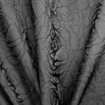 Pidulik, kergelt reljeefse lillemustriga kunstsiidist kangas 50138611