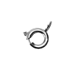 Spring Ring Clasp, 6mm