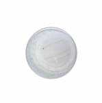 Plastic Shank Button ø23 mm, size: 36L
