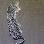 Leopardiga trikotaažkangas, 200x150cm kupongina, 149555