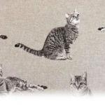 Cat fabrics