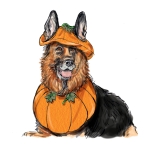 Simplicity Sewing Pattern S9497 Pet Accessories 