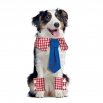 Выкройка: Pet Collars, Cuffs & Dresses, Kwik Sew K4275 