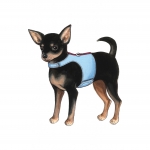 Выкройка: Harness, Leash, Bed and Carrier, Kwik Sew K3517 