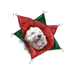 Simplicity Sewing Pattern Pet Elizabethan Collars by Carla Reiss, SS9582AA (S-M-L) 