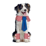 Simplicity Sewing Pattern Pet Collars, Cuffs and Dresses SS9507A 