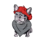 Simplicity Sewing Pattern S9497 Pet Accessories 