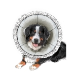 Simplicity Sewing Pattern Pet Elizabethan Collars by Carla Reiss, SS9582AA (S-M-L) 