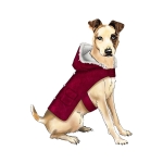 Швейные выкройки Simplicity S9416 Dog Coats, A (S-M-L) 