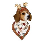 Simplicity Sewing Pattern S9497 Pet Accessories 