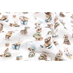 Cotton Fabric 