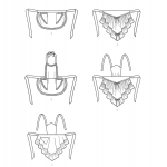 Ompelukaavat: Ruffled Full or Half Aprons, Butterick B6467MIS 