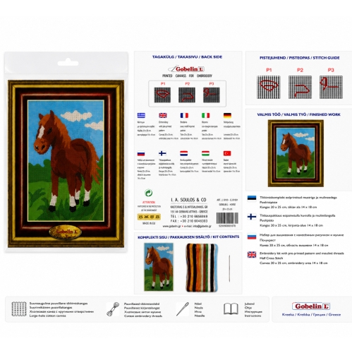 Embroidery kit with pre-printed pattern and mouliné threads 