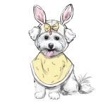 Simplicity Sewing Pattern S9497 Pet Accessories 