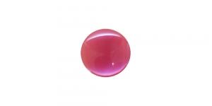 Plastic Shank Button 