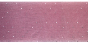 Ribbon with Rhinestones