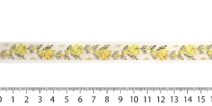 Woven Ribbon