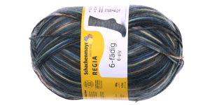 Regia Color 6-fädig 150g, Schachenmayr, 6989