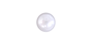 Pärlmutter kirgasvalge, kannaga plastiknööp, 10mm, 16L