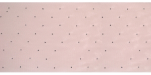 Ribbon with Rhinestones