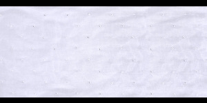 Ribbon with Rhinestones
