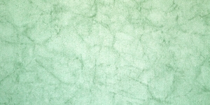 Dekoratiivkangaskangas, 06200-01, heleroheline