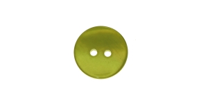 Samblaroheline, naturaalne teokarbist nööp, kahe auguga, 18mm, SV525