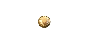 Kuldne, kannaga metallnööp, 10mm, 16L