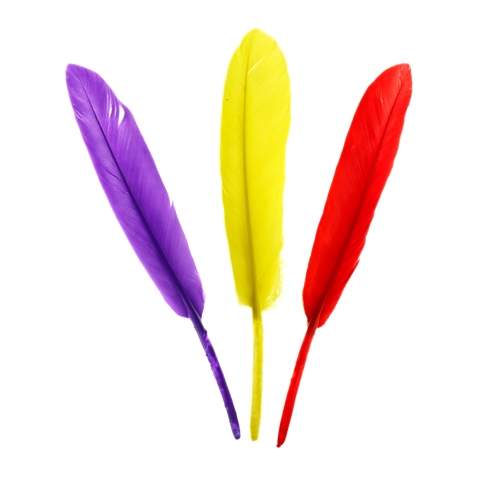 Dekoratiivne erksavärviline sulg pikkusega 14-18 cm , laiusega ca. 2 cm