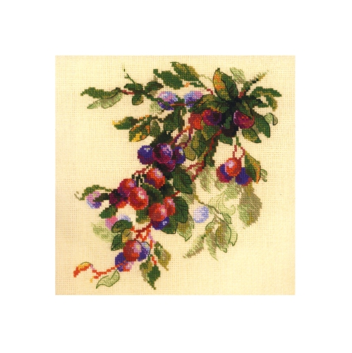 Tikkimiskomplekt Riolis, Ploomid 1616