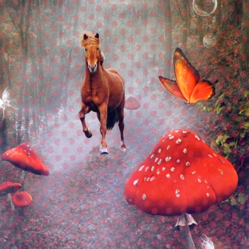 Hobuse ja kärbseseenega, trikookangas kupongina 120 cm x 150 cm, Stenzo, 