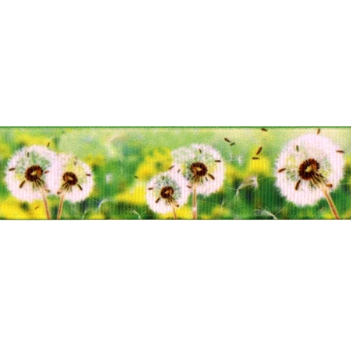 Mustriline ripspael laiusega 25 mm