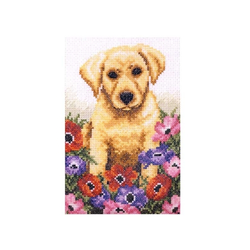 Tikkimiskomplekt, Counted Cross Stitch Kit, Anchor, PCE759