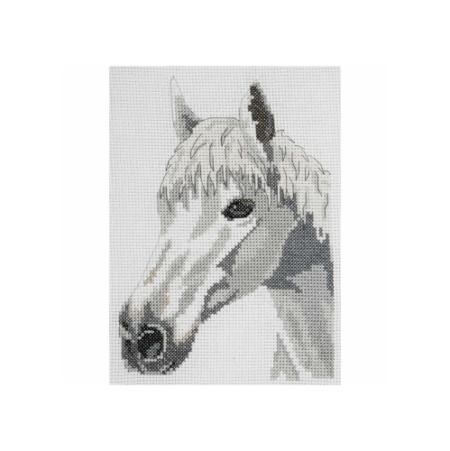 Tikkimiskomplekt, Counted Cross Stitch Kit, Anchor, AK140