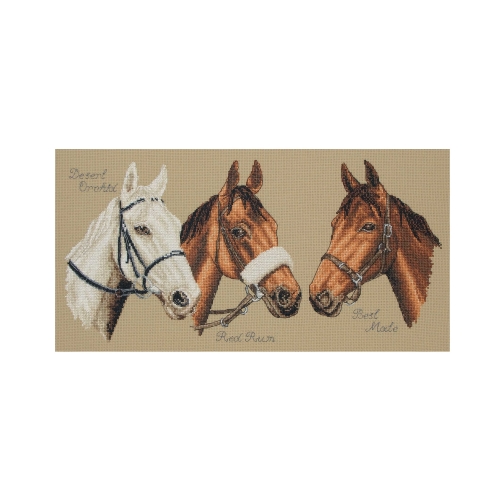 Tikkimiskomplekt, Counted Cross Stitch Kit, Anchor, PCE731