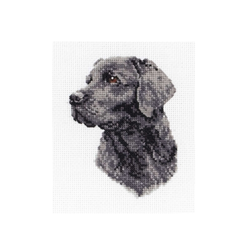 Tikkimiskomplekt, Counted Cross Stitch Kit, Anchor, PCE218
