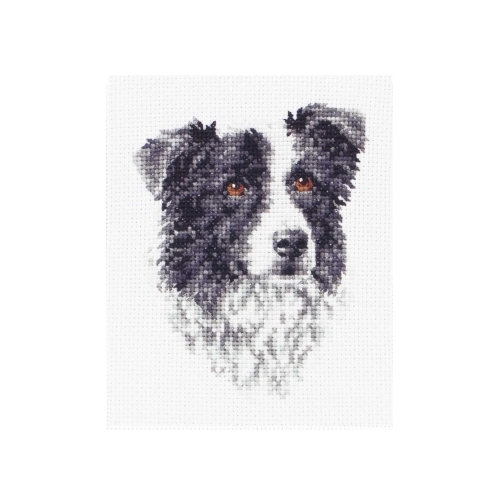 Tikkimiskomplekt, Counted Cross Stitch Kit, Anchor, PCE219
