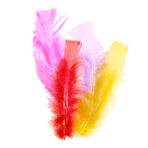 Kalkunisuled, 15 tk, 10-17 cm