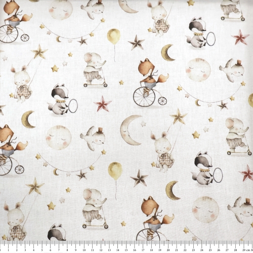 Õhem mustriliga puuvillane kangas, France, 140 cm, Toile Provence
