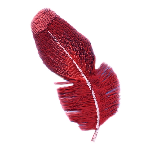 Triigitav aplikatsioon, tikitud, narmastega sulg 10,5 x 5 cm