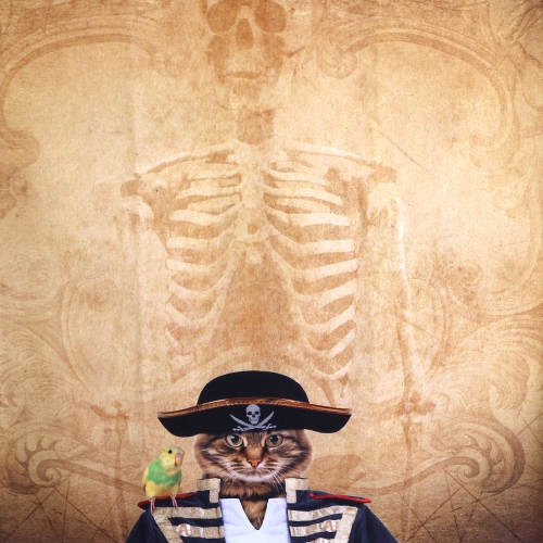 Mereröövel kiisu, veniv puuvillasegu kangas, 150x75cm, Stenzo textiles, 11840