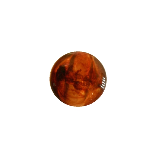 Plastic Shank Button ø15 mm, size: 24L
