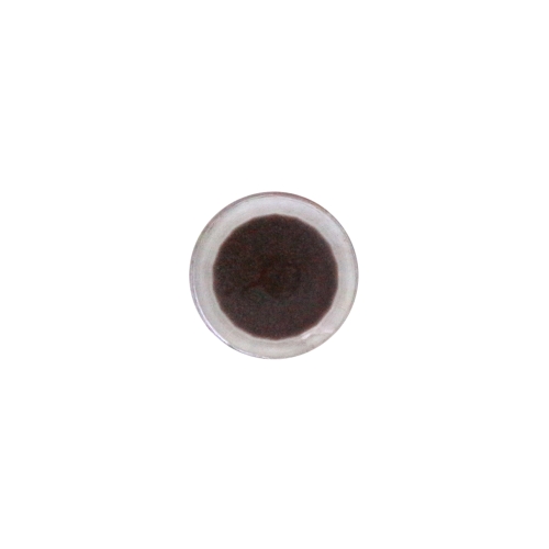 Silmakujuline plastiknööp, kannaga ø12 mm, suurus: 18L