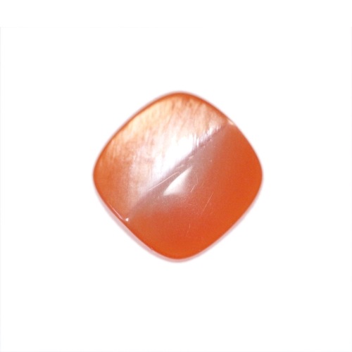 Ruudukujuline, helklev, kannaga plastiknööp, 13mm, 20L