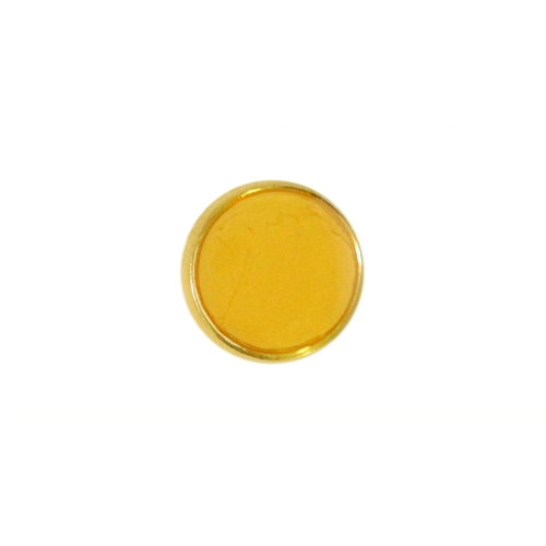 Värviline, kuldümbrisega, metallilaadsest plastikust, kannaga nööp, 13mm, 20L