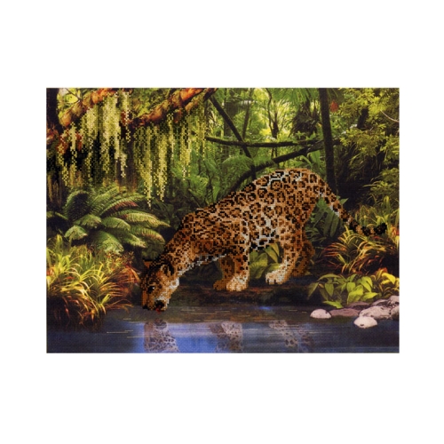 Tikkimiskomplekt Riolis, Leopard PT-0023